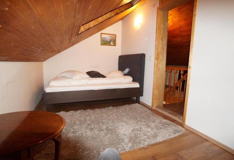 غرفة أساسية, Casa Paltinu