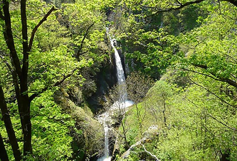 Номер Стандарт Индивидуальный с Балконом, Family Hotel Valchanovata Kashta