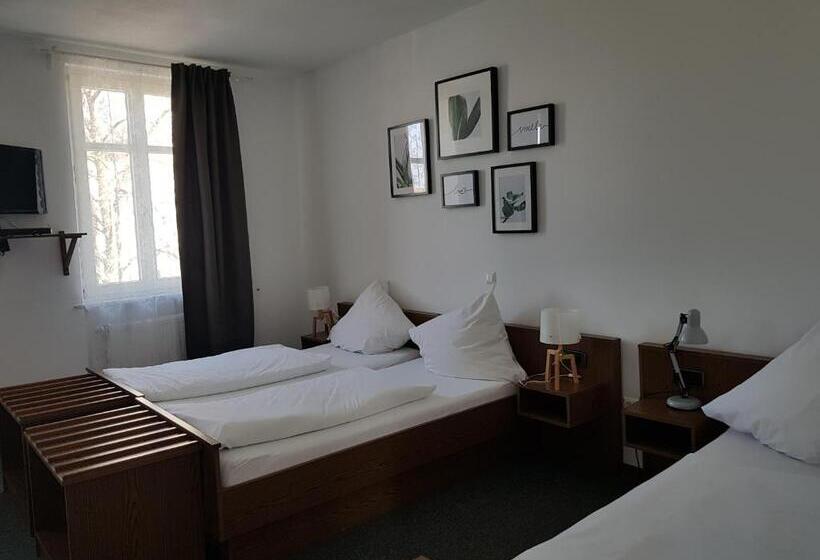 חדר סטנדרט לשלושה, Gasthaus Zum Ochsen