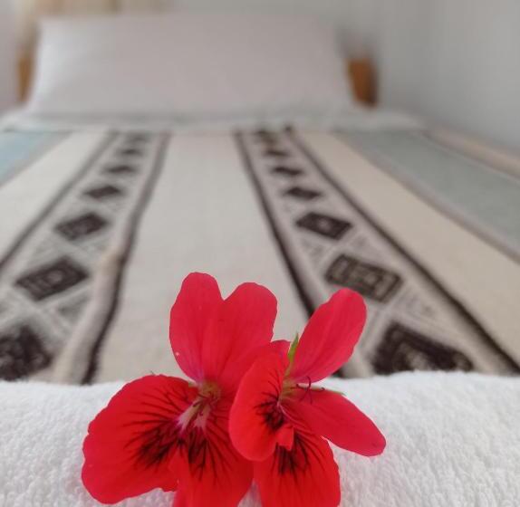 غرفة قياسية فردية حمام مشترك, Hospedaje Y Restaurante Saywa