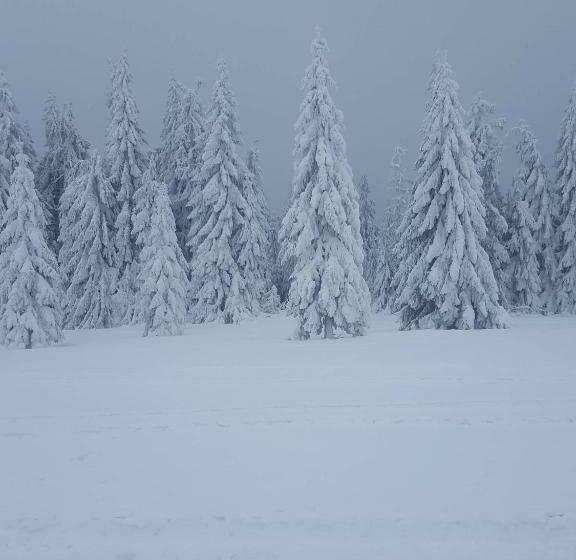 غرفة قياسية رباعية, Lörincz Vendégház