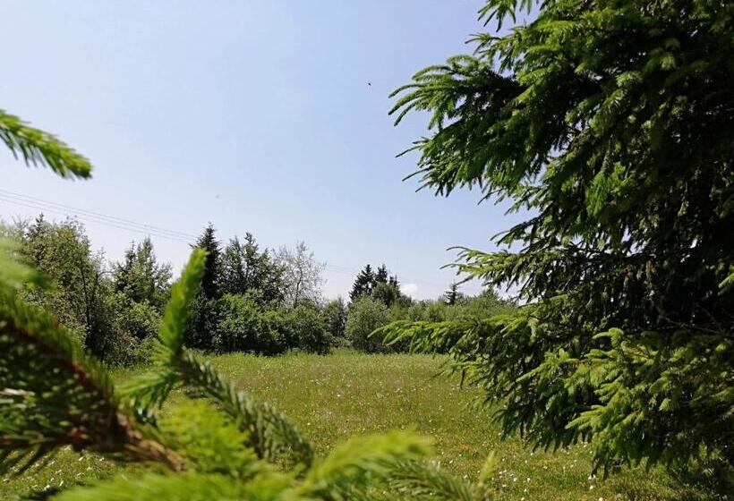 غرفه قياسيه سريرين مزدوجين, Lörincz Vendégház