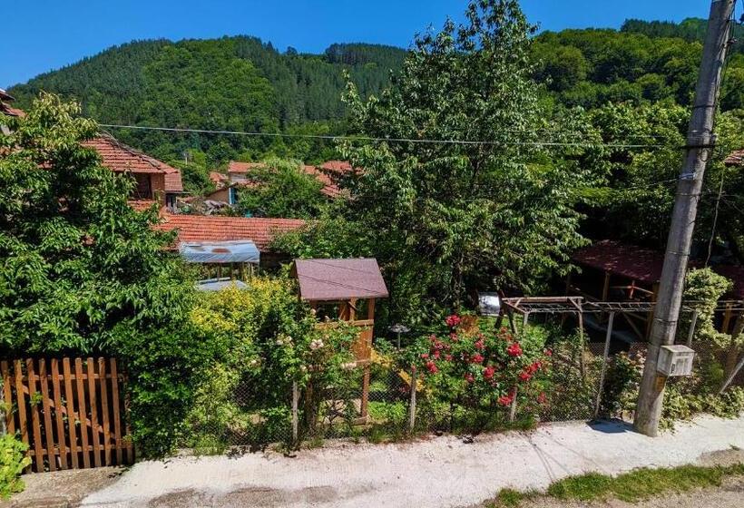 Апартаменты 1 Спальня с Террасой, Pamir Guest House