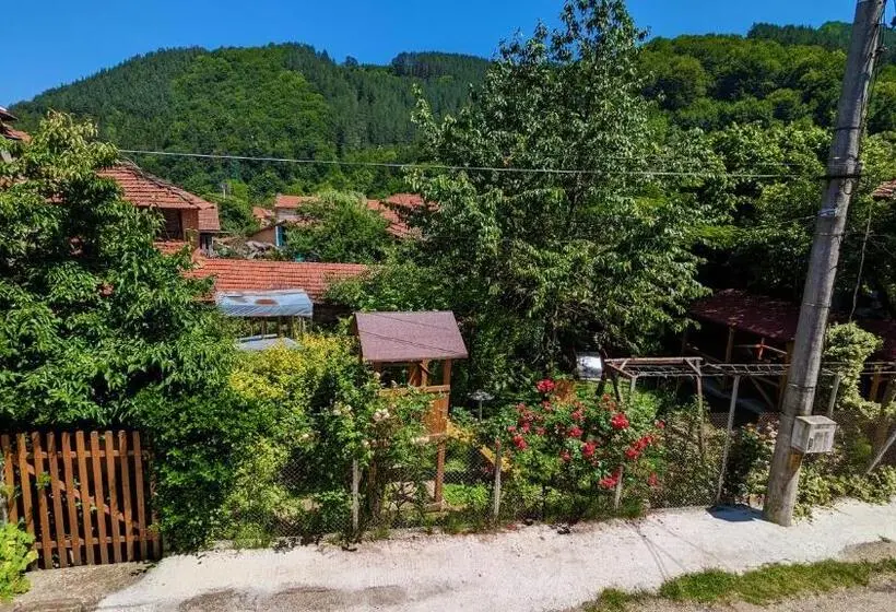 テラス付き１ベッドルームアパートメント, Pamir Guest House