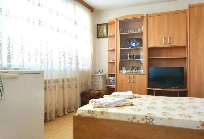テラス付き１ベッドルームアパートメント, Pamir Guest House