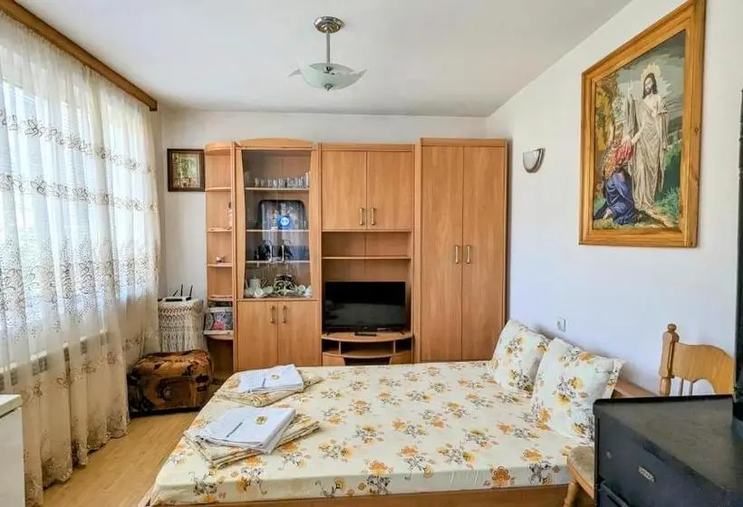 テラス付き１ベッドルームアパートメント, Pamir Guest House
