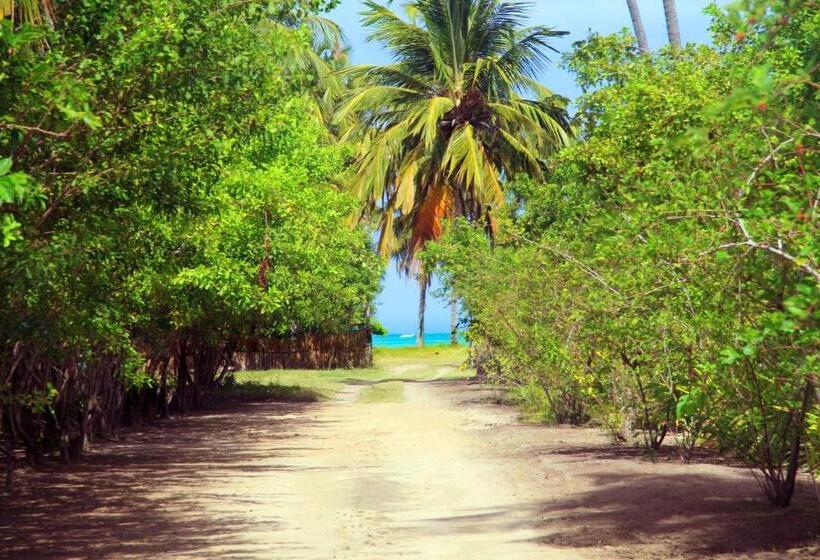 标准间, Pousada Borapira