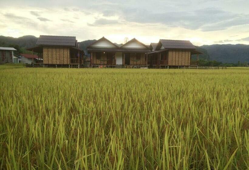 بنجلو عائلى, Thongdam Guesthouse