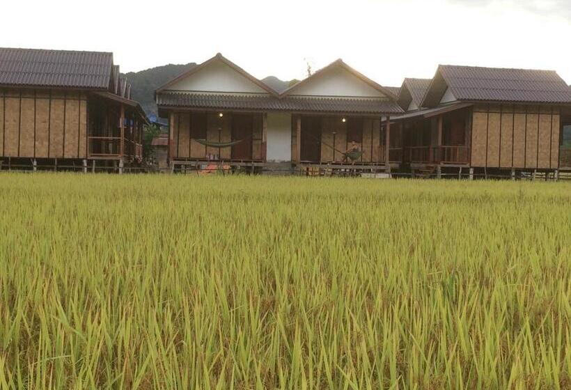 بنجلو قياسى, Thongdam Guesthouse