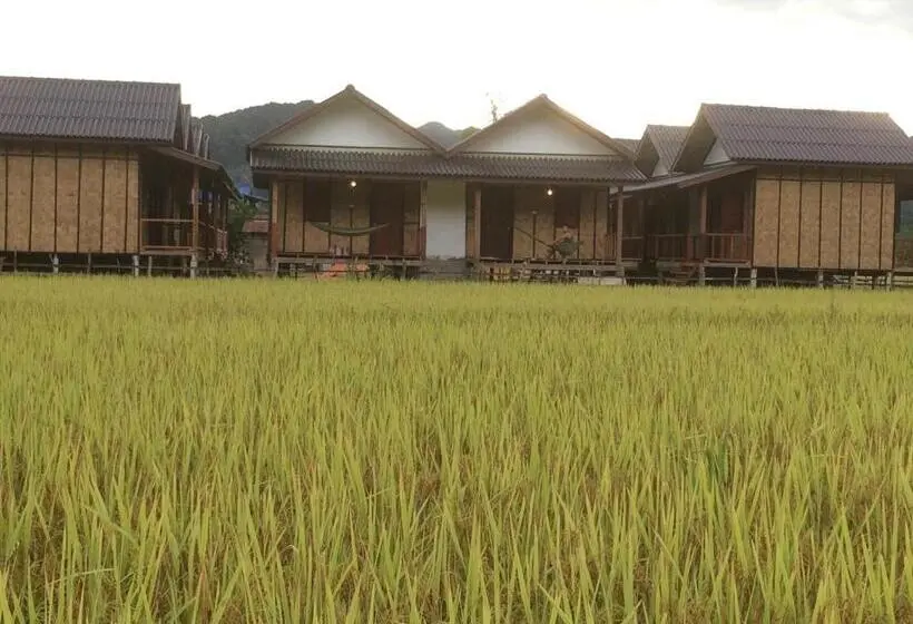 بانگلوی استاندارد, Thongdam Guesthouse