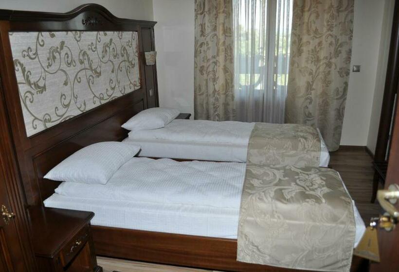 Номер Стандартный с Видом, Pensiunea Alexandra & Spa