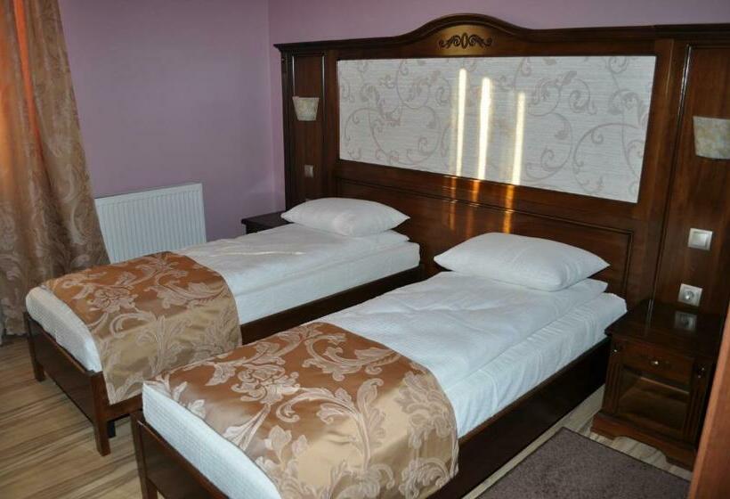 Номер Стандартный с Видом, Pensiunea Alexandra & Spa