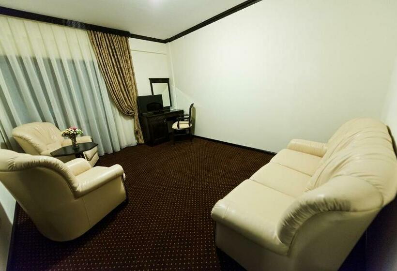 带1个卧室的带阳台的公寓, Pensiunea Iriss