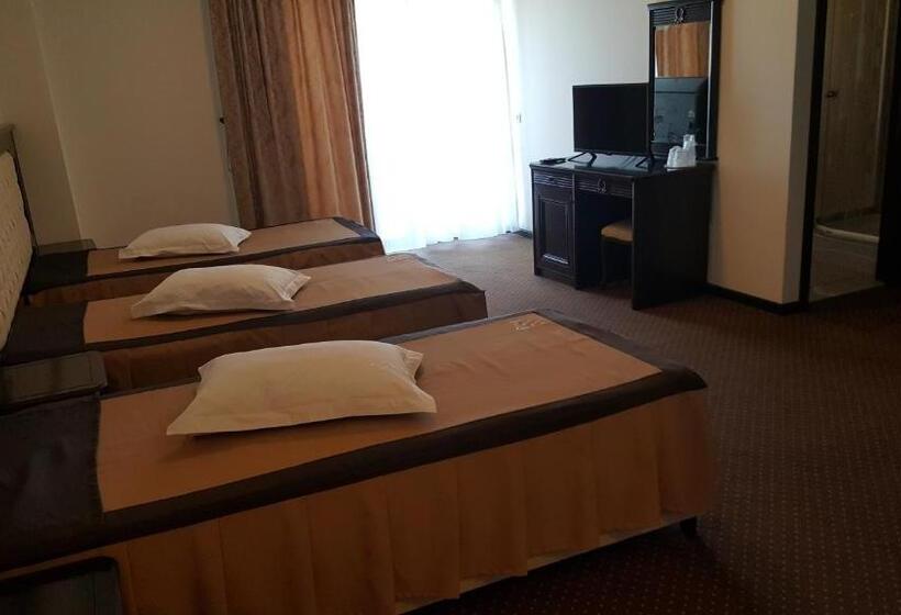 带阳台的三人标准间, Pensiunea Iriss