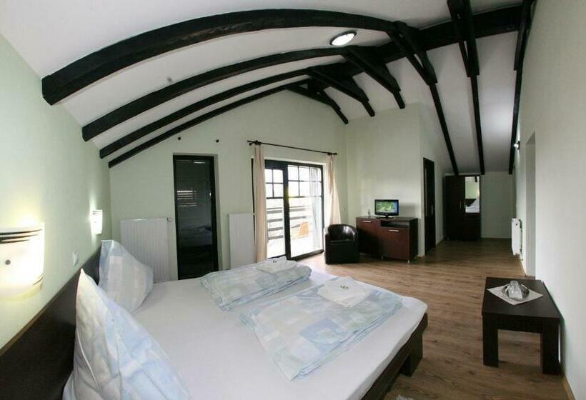 غرفة قياسية, Pensiunea Silba