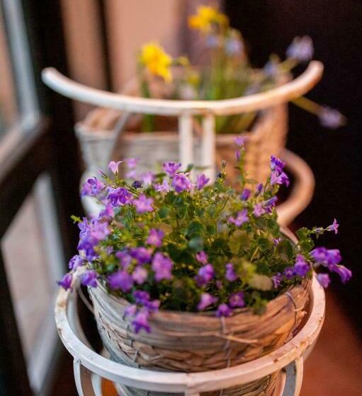 غرفة قياسية, Pensiunea Silba