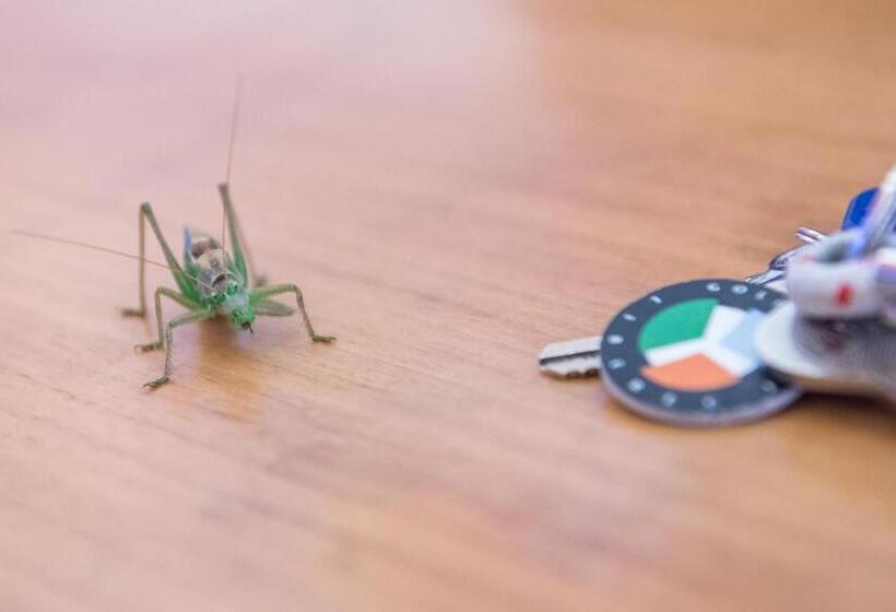 Дом 1 Спальня, Hausboaty Ypsilon Golf Liberec