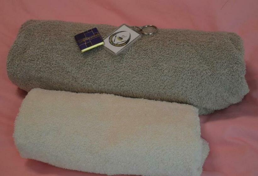 اتاق اکونومی, B&b The New Challenge