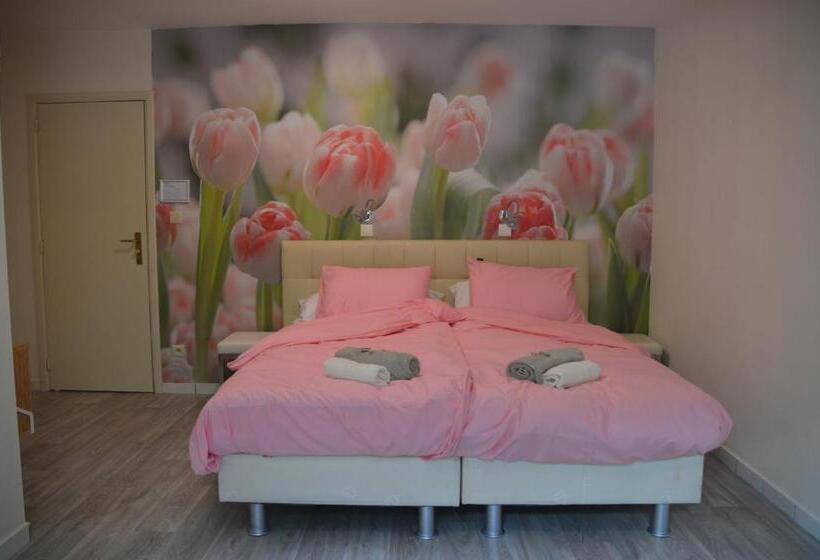 اتاق اکونومی, B&b The New Challenge