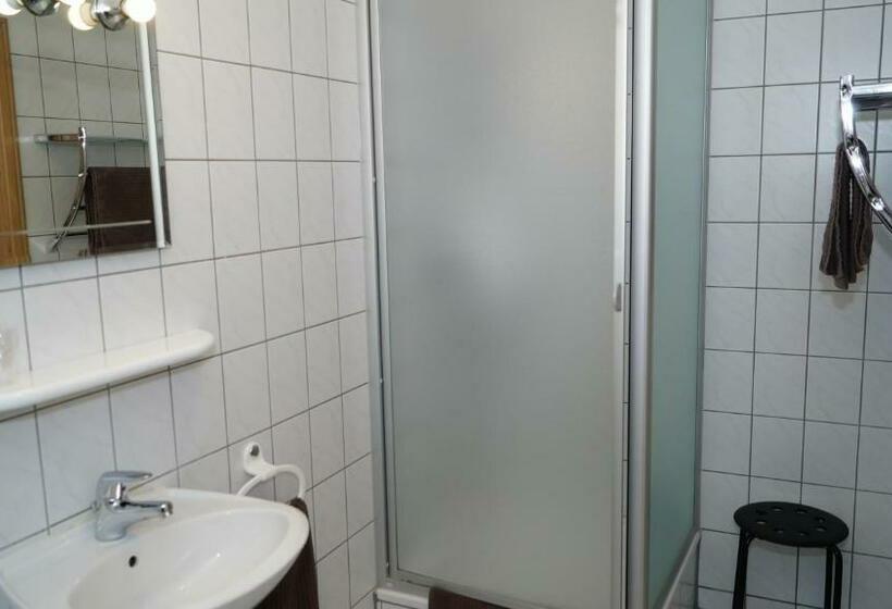 חדר דלוקס יחיד, Landgasthof Falken