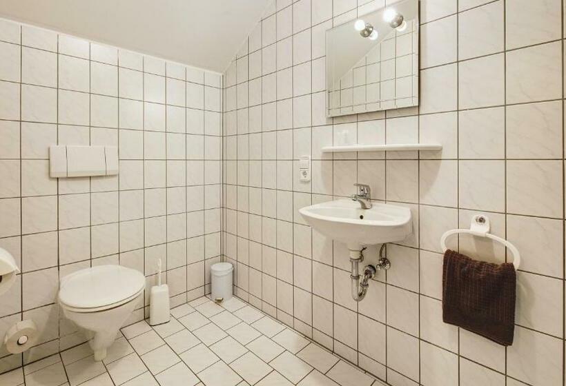 חדר דלוקס יחיד, Landgasthof Falken