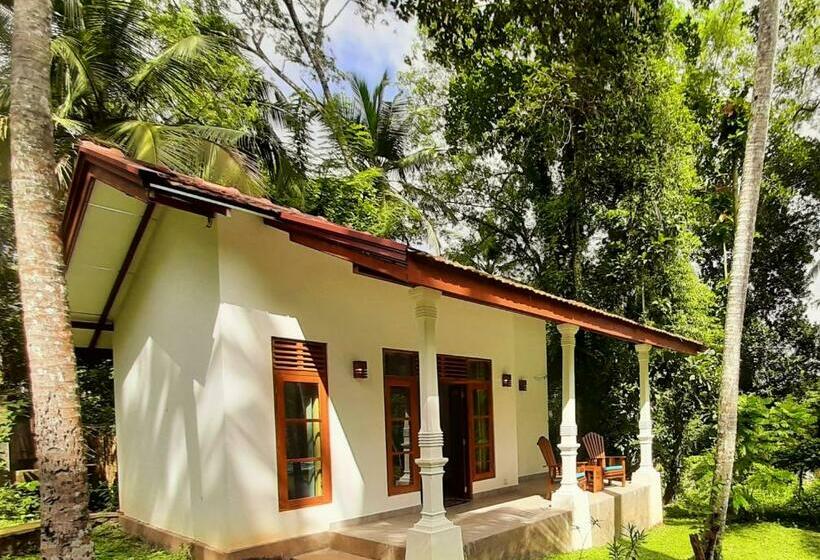 デラックスルーム, Jackland Holiday Cabanas