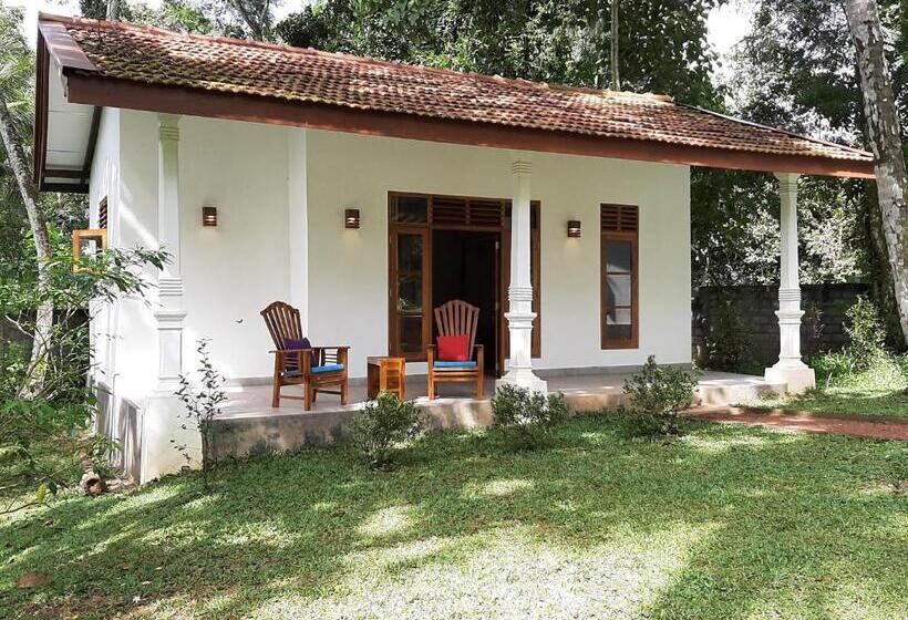 デラックスルーム, Jackland Holiday Cabanas