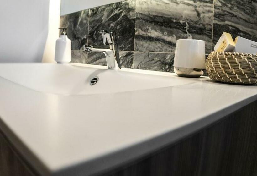 Quarto Estandar Individual, Pensiunea Negoiu