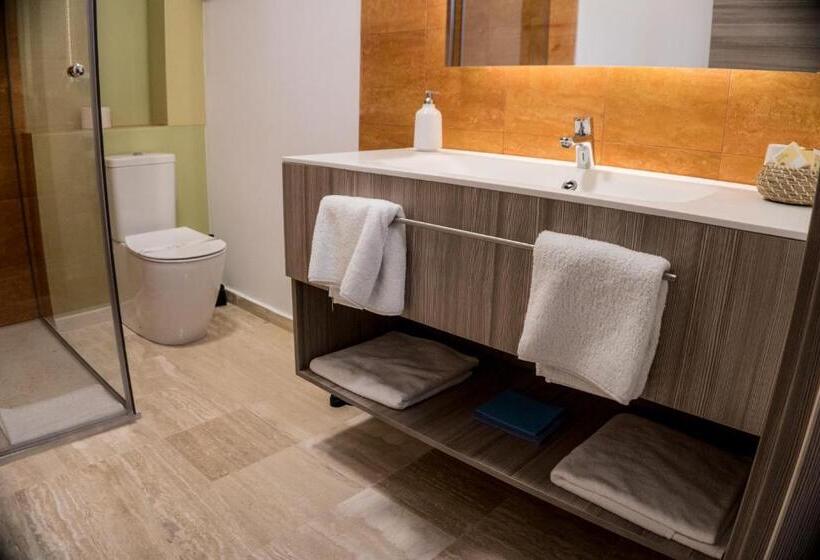 스탠다드 트리플 룸, Pensiunea Negoiu