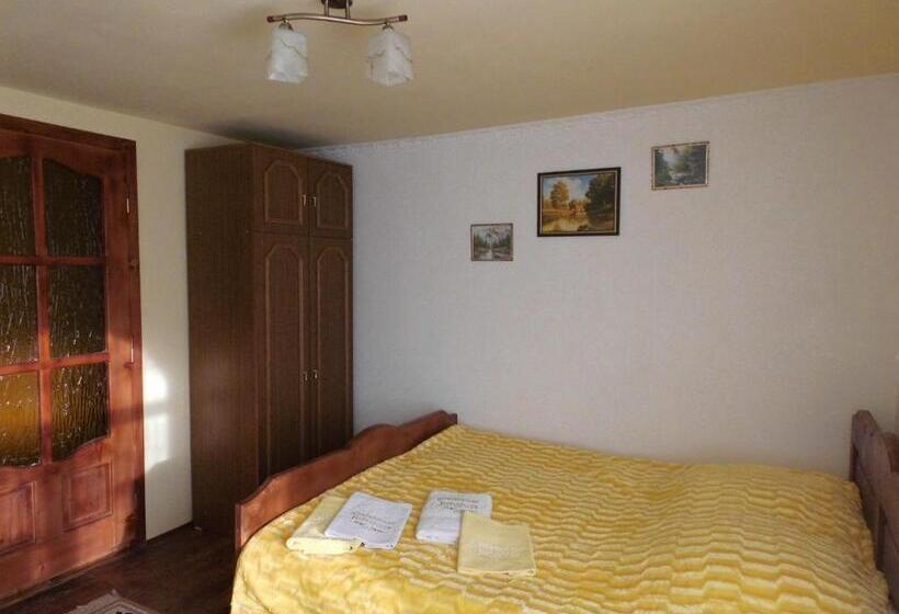 スタンダードルーム, Synevyrske Perehrestya