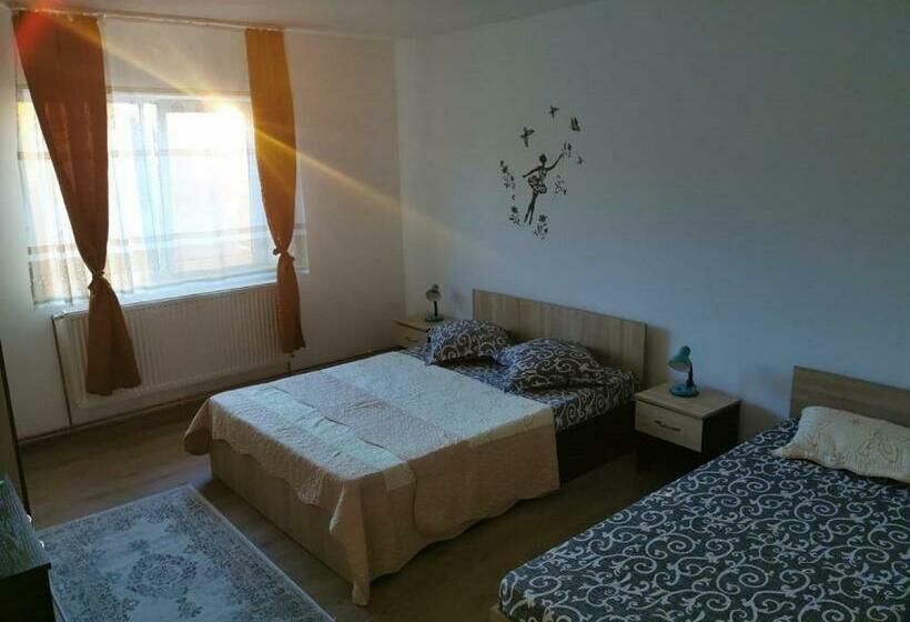 Номер Стандарт, Pensiunea Alex & Andry