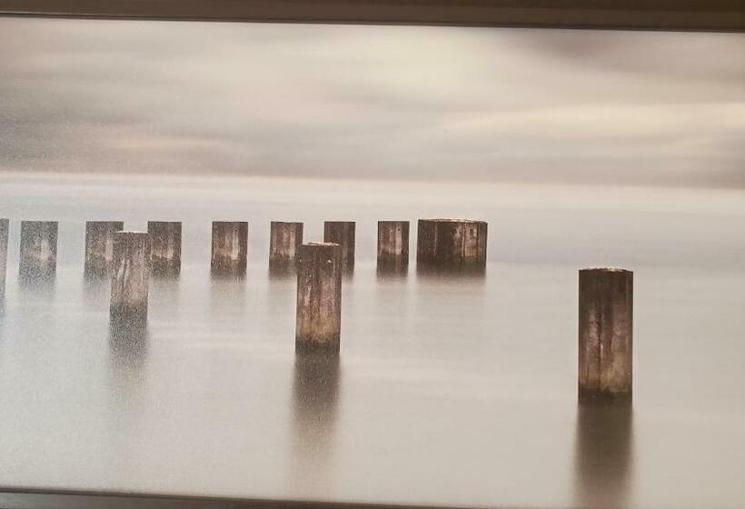 غرفه قياسيه سريرين مزدوجين, Shoreside Inn & Suites