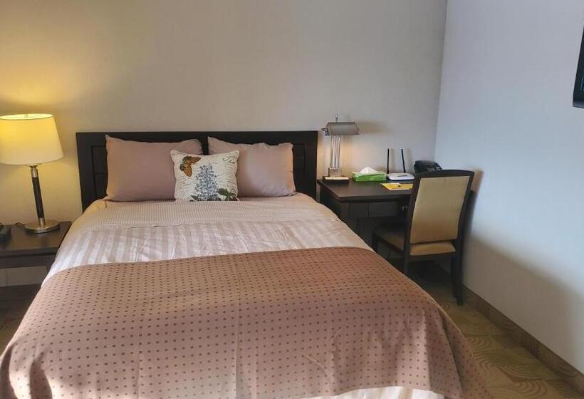 جناح جونيور, Shoreside Inn & Suites