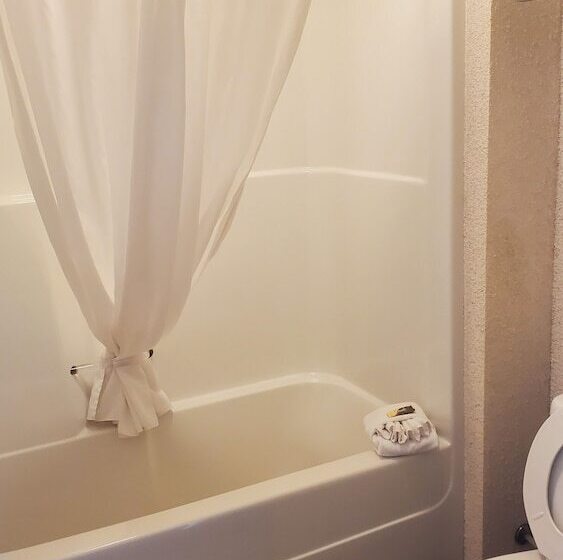 جناح ديلوكس, Shoreside Inn & Suites