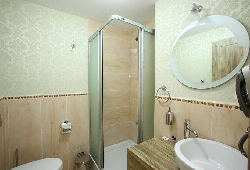 اتاق استاندارد, Delfi Hotel Spa & Wellness Center