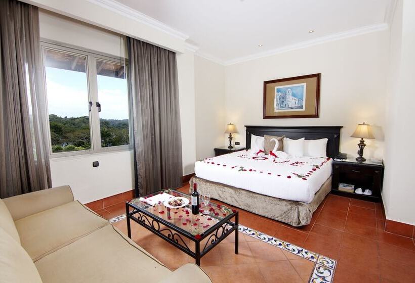 프리미엄 룸, Melia Panama Canal