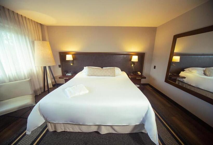 エコノミールーム, Movich Hotel Las Lomas