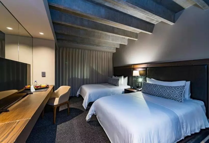 اتاق اکونومی, Movich Hotel Las Lomas