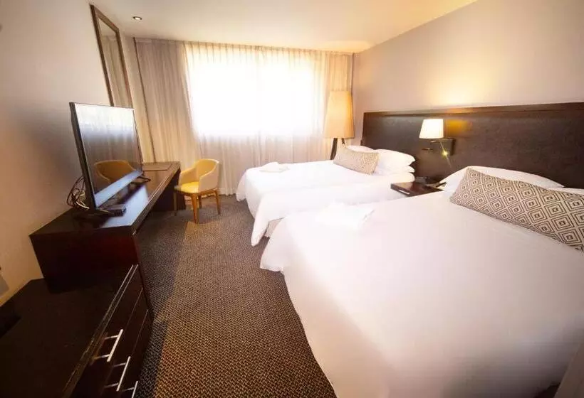 اتاق اکونومی, Movich Hotel Las Lomas
