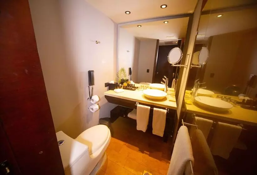 اتاق استاندارد, Movich Hotel Las Lomas