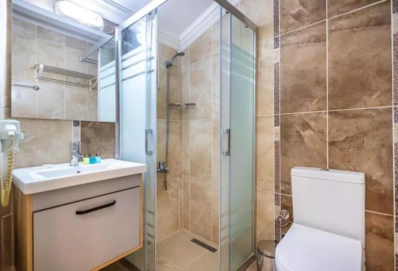 اتاق لوکس خانوادگی, Leslion Hotel Turunc