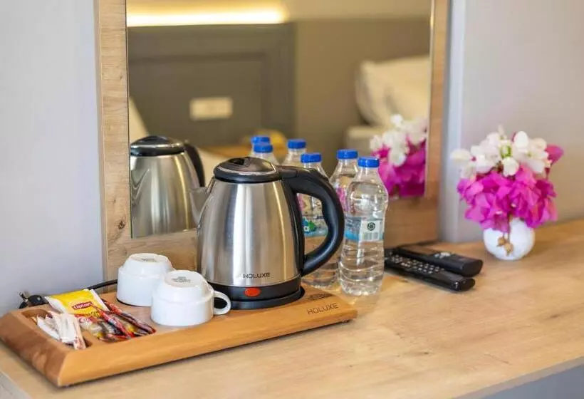 اتاق لوکس خانوادگی, Leslion Hotel Turunc