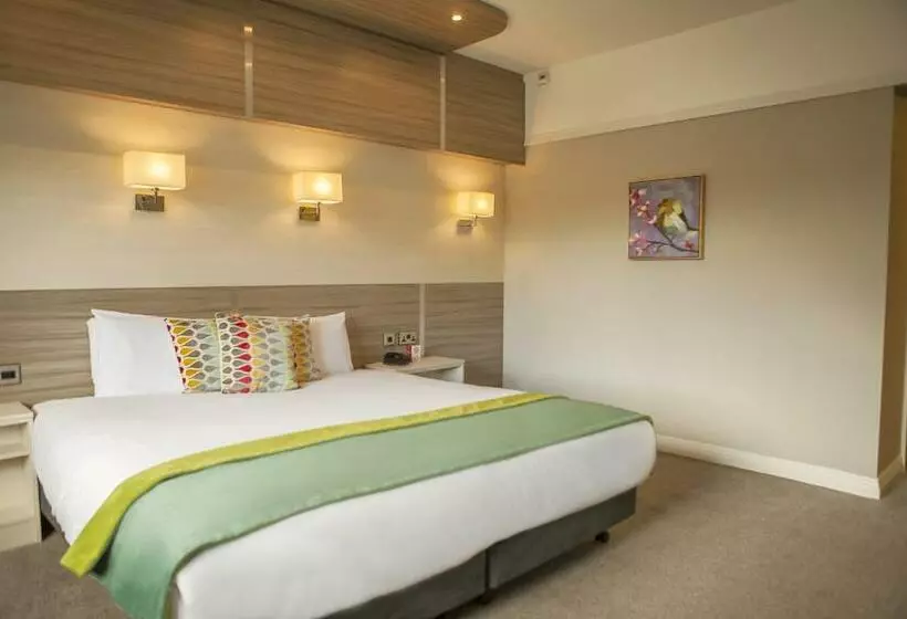 اتاق استاندارد یک نفره, The Gleneagle Hotel & Apartments