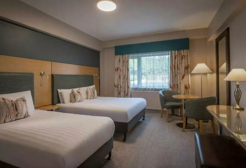 اتاق خانوادگی, The Gleneagle Hotel & Apartments