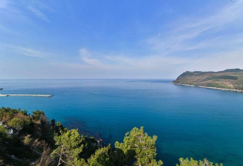 חדר סטנדרט נוף לים, Amasra Sunrise Otel