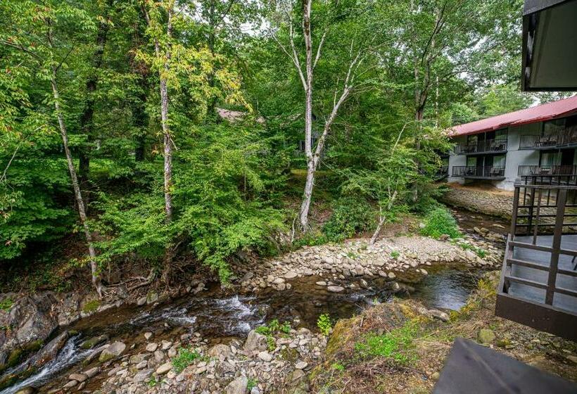 Standard-huone 2 Parivuodetta, Bear Creek Inn Gatlinburg, Tn
