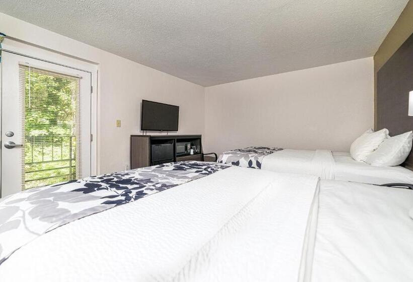 ２ダブルベッドのスタンダードルーム, Bear Creek Inn Gatlinburg, Tn