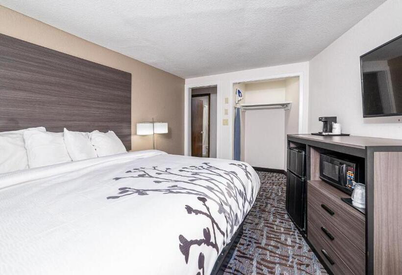 סוויטת 2 חדרי שינה, Bear Creek Inn Gatlinburg, Tn