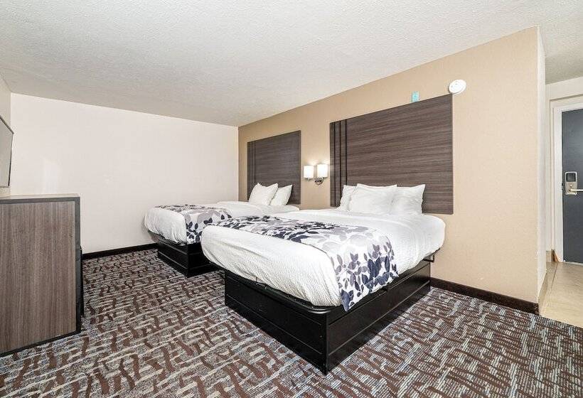 חדר סטנדרט שתי מיטות זוגיות, Bear Creek Inn Gatlinburg, Tn