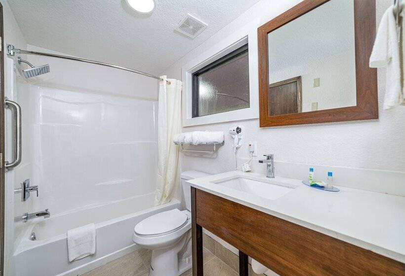 ２ダブルベッドのスタンダードルーム, Bear Creek Inn Gatlinburg, Tn